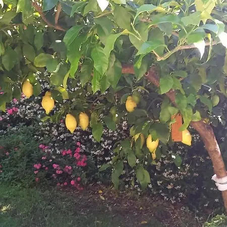 Hébergement de vacances Emma