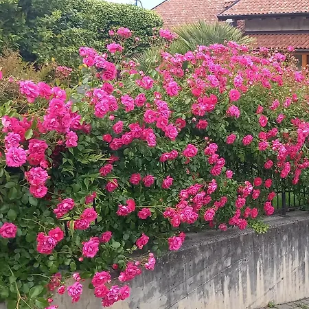 Emma Tatil Evi