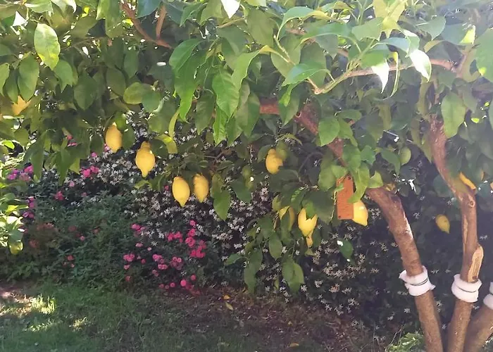 Casa de Férias Emma